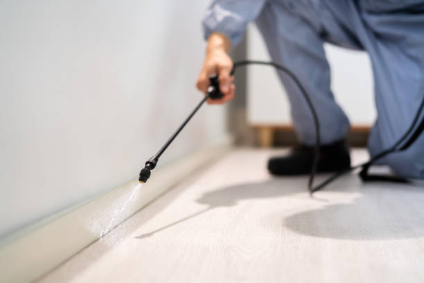 Licensed Pest Control service in Connecticut, CT - Show Me Pest Control