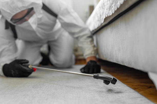 Professional Pest Control technician working in Connecticut, CT