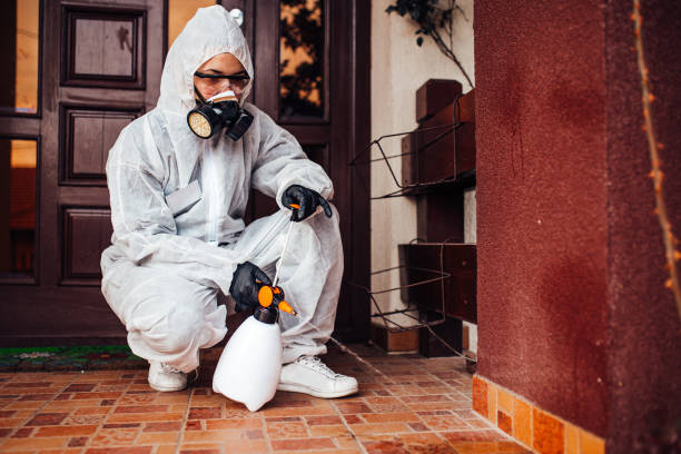 Reliable Pest Control contractor in Connecticut, CT by Show Me Pest Control